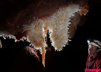 Grotte de la Bartade - Ardeche - Frankreich