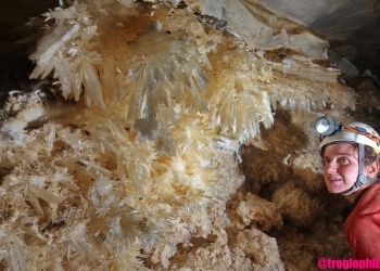 Flower Cave - Neuseeland