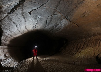 Grotte de la Cocaliere - Ardeche - Frankreich